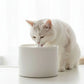 Fontaine à Eau en Céramique pour Chat – Distributeur d’Eau Automatique pour Chats et Petits Animaux