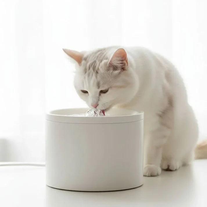 Fontaine à Eau en Céramique pour Chat – Distributeur d’Eau Automatique pour Chats et Petits Animaux