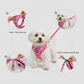 Ensemble Harnais et Laisse pour Chien 3 Pièces – Kit de Promenade Réglable et Confortable