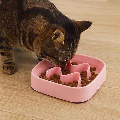 Gamelle Anti-Glouton pour Chat – Bol à Alimentation Lente Favorisant une Digestion Saine