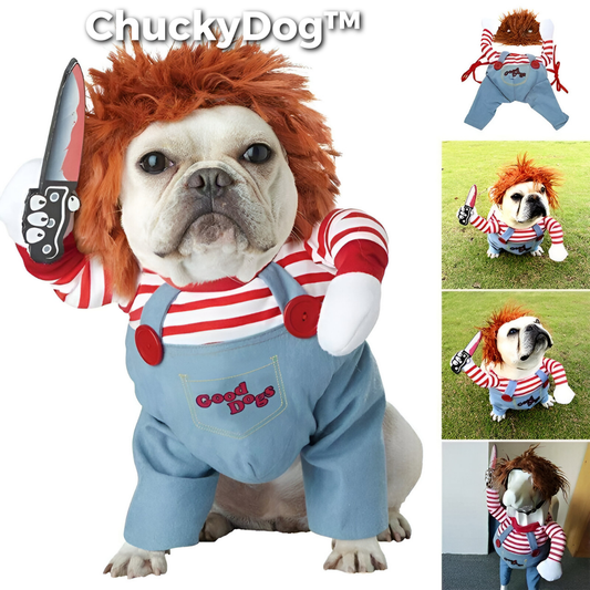 Costume de déguisement pour chien