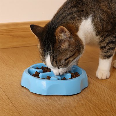 Gamelle Anti-Glouton pour Chat – Bol à Alimentation Lente Favorisant une Digestion Saine