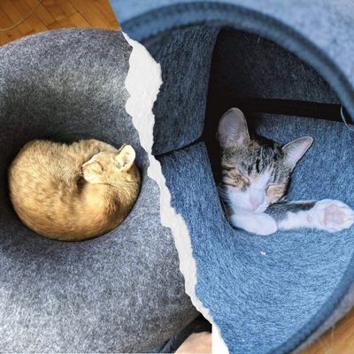 Panier pour Chat 3-en-1 – Maison pour Chat, Tunnel de Jeu et Griffoir Intégré