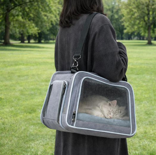 Sac de transport pour chat respirant en forme de capsule transparente