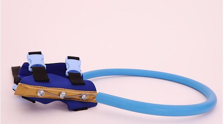 Harnais avec arceau de guidage pour chien malvoyant