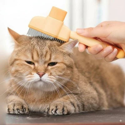 Peigne pour chat anti-chute de poils et massage