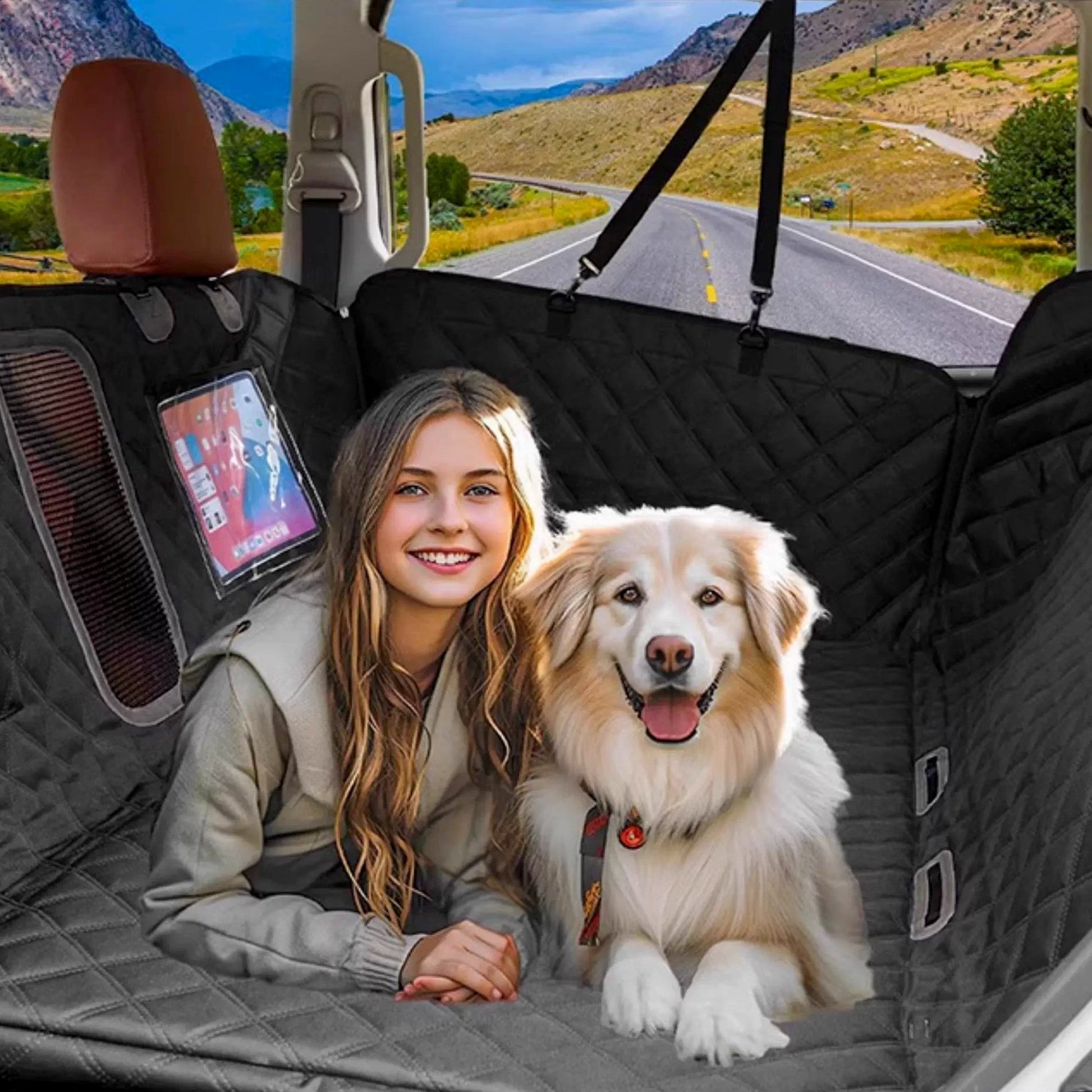 Housse renforcée de siège auto pour chien et chat – image 11