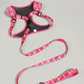 Ensemble Harnais et Laisse pour Chien 3 Pièces – Kit de Promenade Réglable et Confortable
