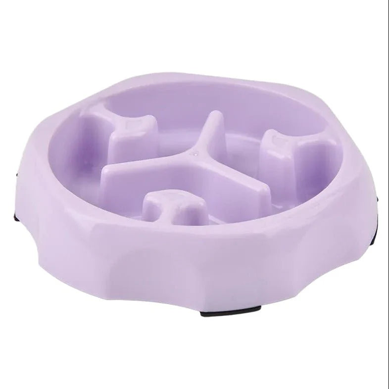 Gamelle Anti-Glouton pour Chat – Bol à Alimentation Lente Favorisant une Digestion Saine