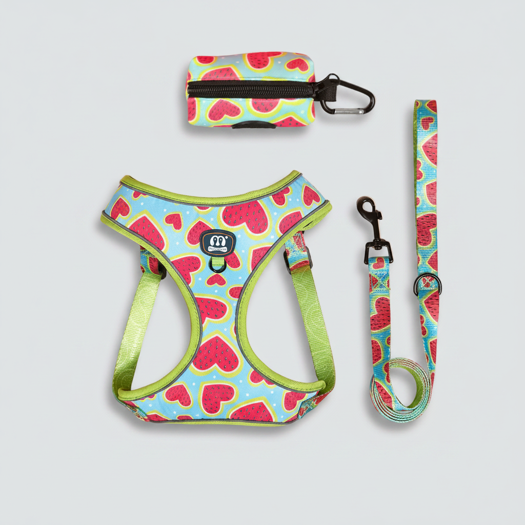 Ensemble Harnais et Laisse pour Chien 3 Pièces – Kit de Promenade Réglable et Confortable
