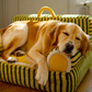 Lit-canapé moelleux pour animaux – image 9