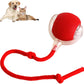 Balle interactive rechargeable pour animaux, diamètre 7 cm