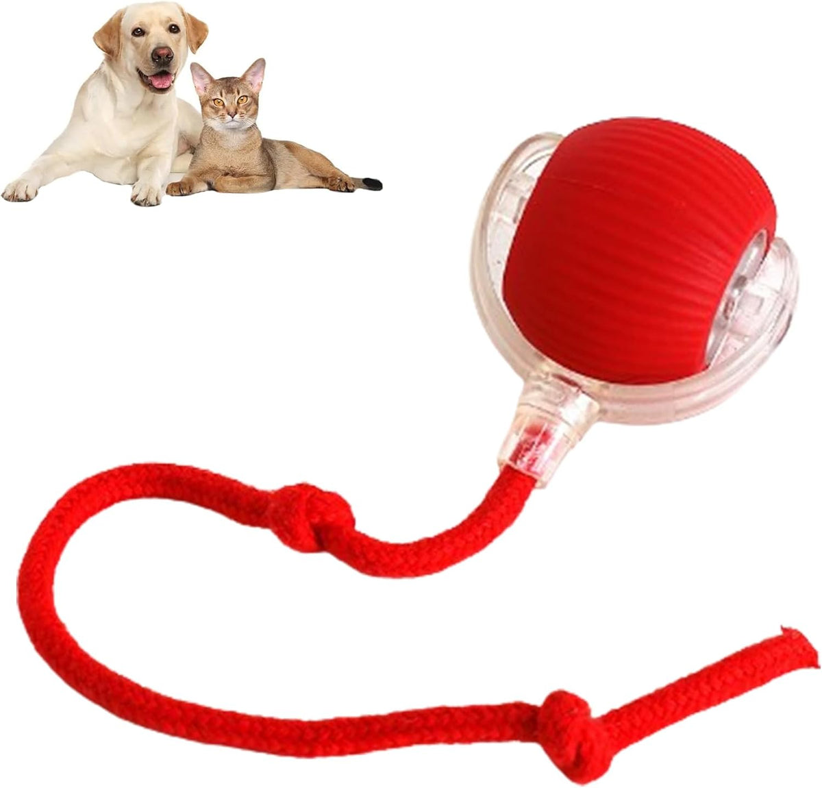 Balle interactive rechargeable pour animaux, diamètre 7 cm