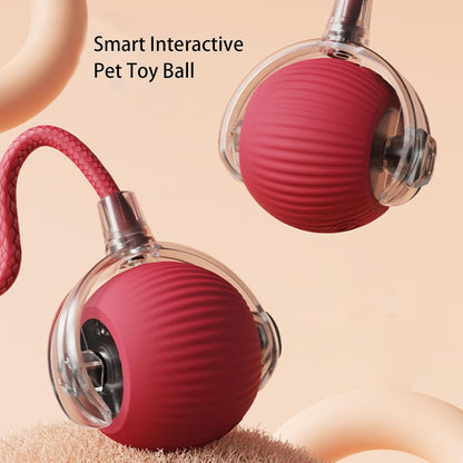 Balle interactive rechargeable pour animaux, diamètre 7 cm