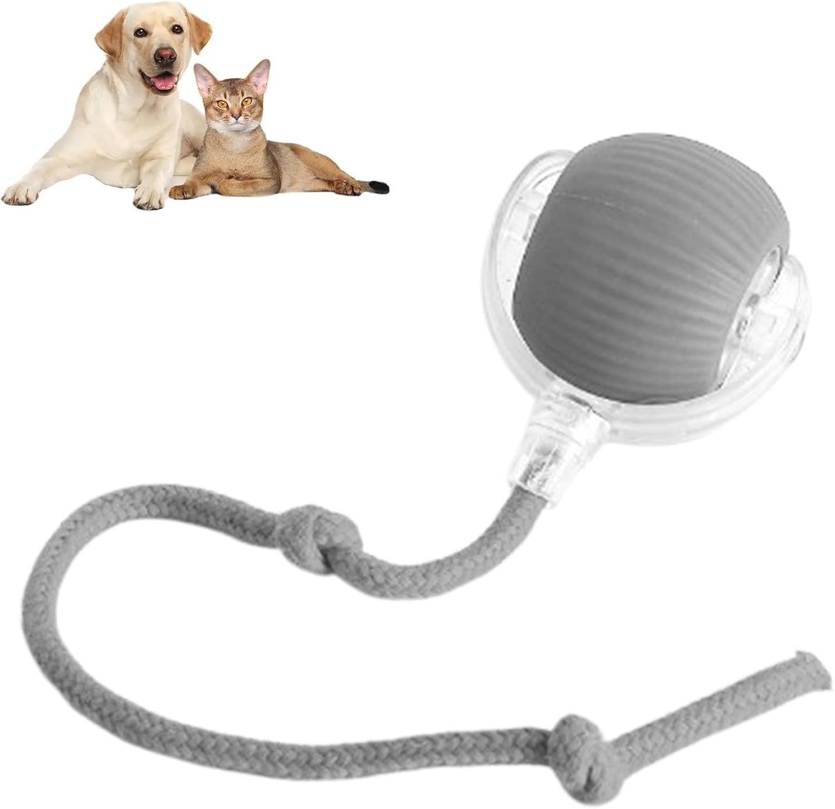 Balle interactive rechargeable pour animaux, diamètre 7 cm