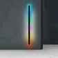Applique LED RGB extérieure – 30 cm – image 8