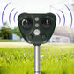Dispositif solaire de jardin à cinq modes et détecteur