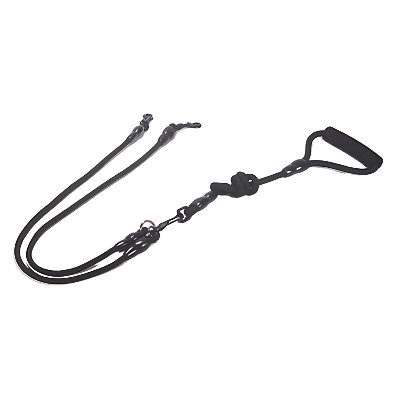 Felineau Laisse Enrouleur Rotative Double - Balade Absorbeur de Chocs