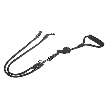 Felineau Laisse Enrouleur Rotative Double - Balade Absorbeur de Chocs
