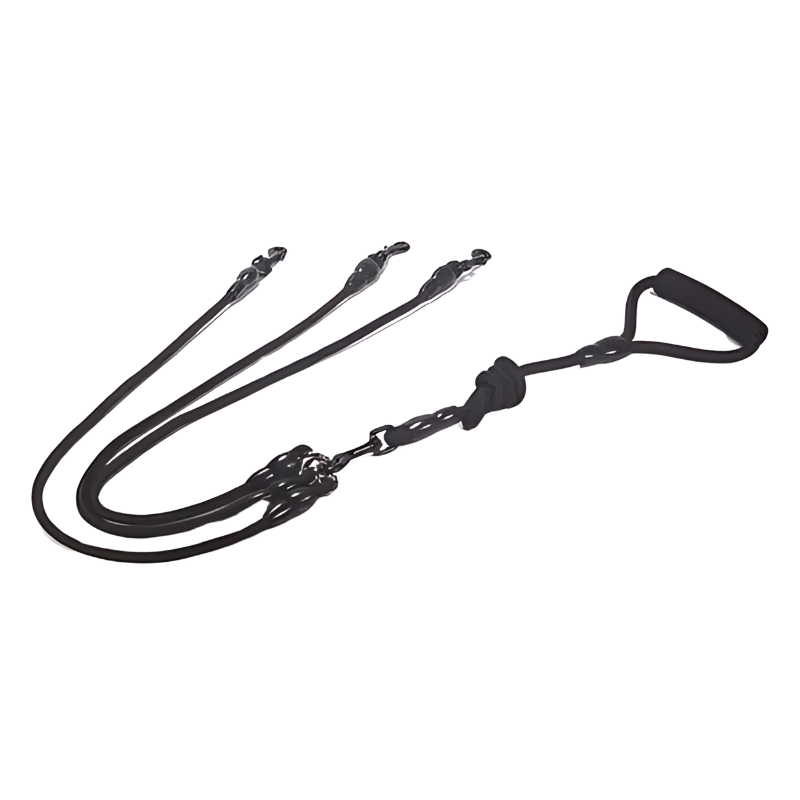 Felineau Laisse Enrouleur Rotative Double - Balade Absorbeur de Chocs