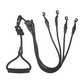 Felineau Laisse Enrouleur Rotative Double - Balade Absorbeur de Chocs