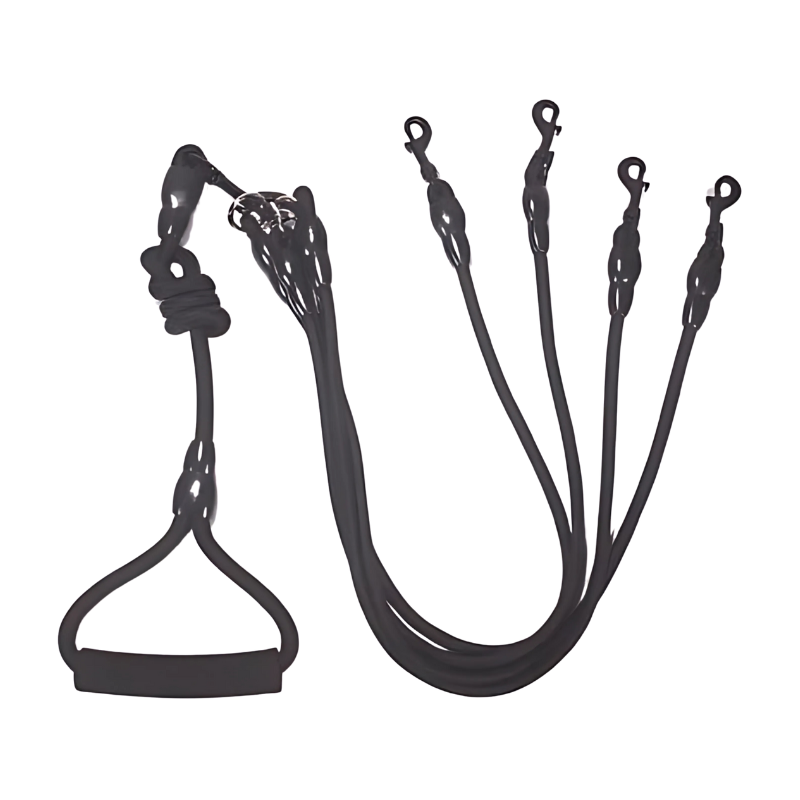 Felineau Laisse Enrouleur Rotative Double - Balade Absorbeur de Chocs