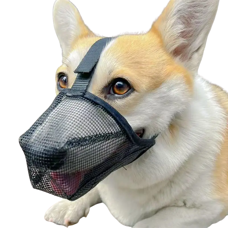 Museliere Chien Respirante - Ajustable Anti Ingestion - image 1