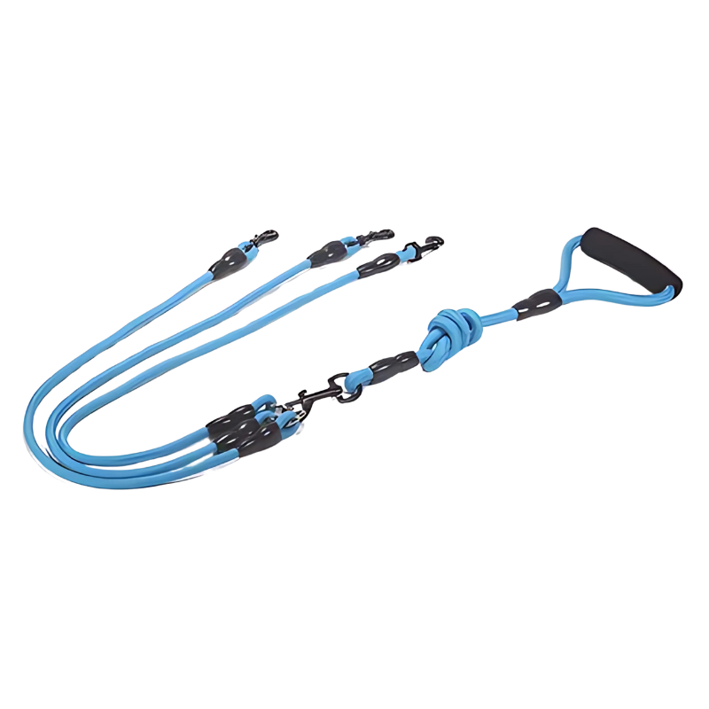 Felineau Laisse Enrouleur Rotative Double - Balade Absorbeur de Chocs