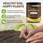 Amendement du sol en poudre à complexe minéral de potassium