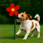 Felineau Arroseur Fleur Rafraîchissant pour Chien - Jeu d’Eau