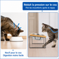 Felineau Gamelle Surélevée pour Chat — Double Bol Inox Incliné 15°