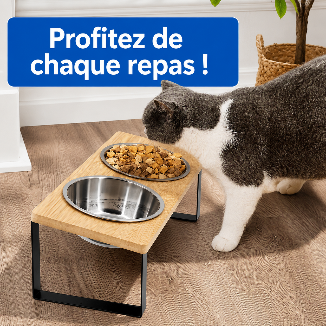Felineau Gamelle Surélevée pour Chat — Double Bol Inox Incliné 15°