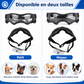 Felineau Lunettes de Protection pour Chien — Anti-UV Anti-Vent Réglables