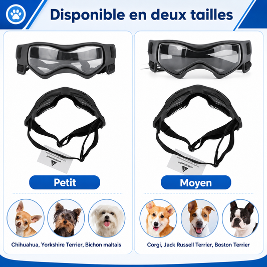 Felineau Lunettes de Protection pour Chien — Anti-UV Anti-Vent Réglables