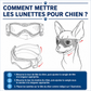 Felineau Lunettes de Protection pour Chien — Anti-UV Anti-Vent Réglables