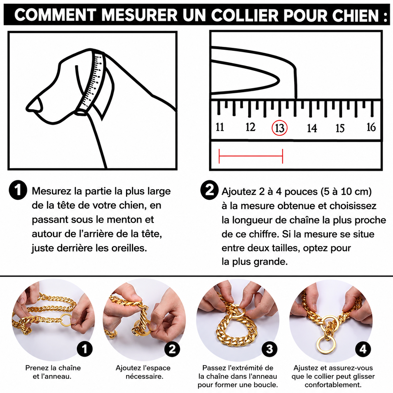 Felineau Collier Renforcé pour Chien — Maillons Massifs Polis