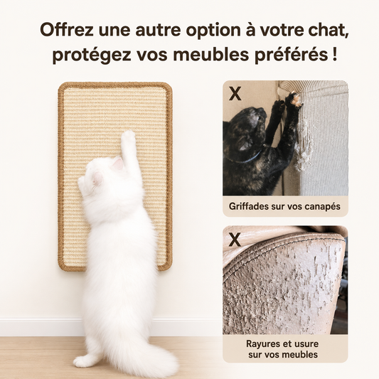 Felineau Tapis Griffoir Sisal Multi-Usage pour Chat