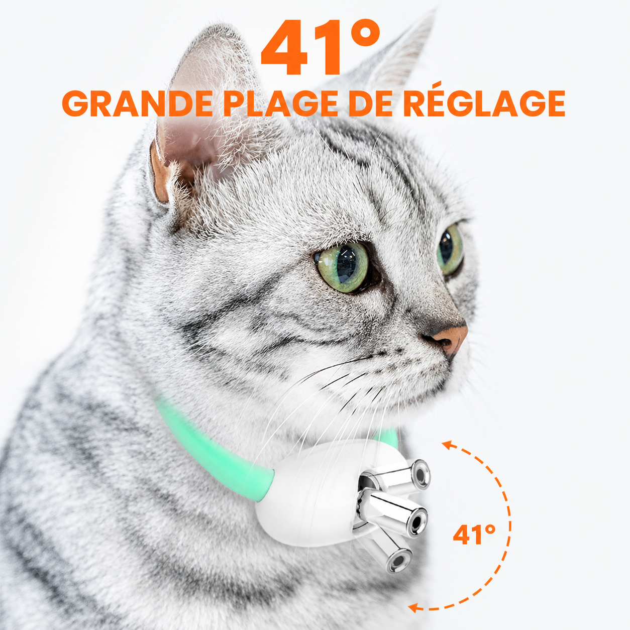 Felineau Collier Laser Interactif pour Chat — Rechargeable USB