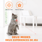 Felineau Collier Laser Interactif pour Chat — Rechargeable USB