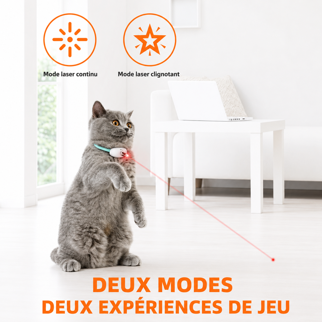 Felineau Collier Laser Interactif pour Chat — Rechargeable USB