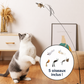 Felineau Set de Jouets Oiseaux Interactifs pour Chat — Base Ventouse