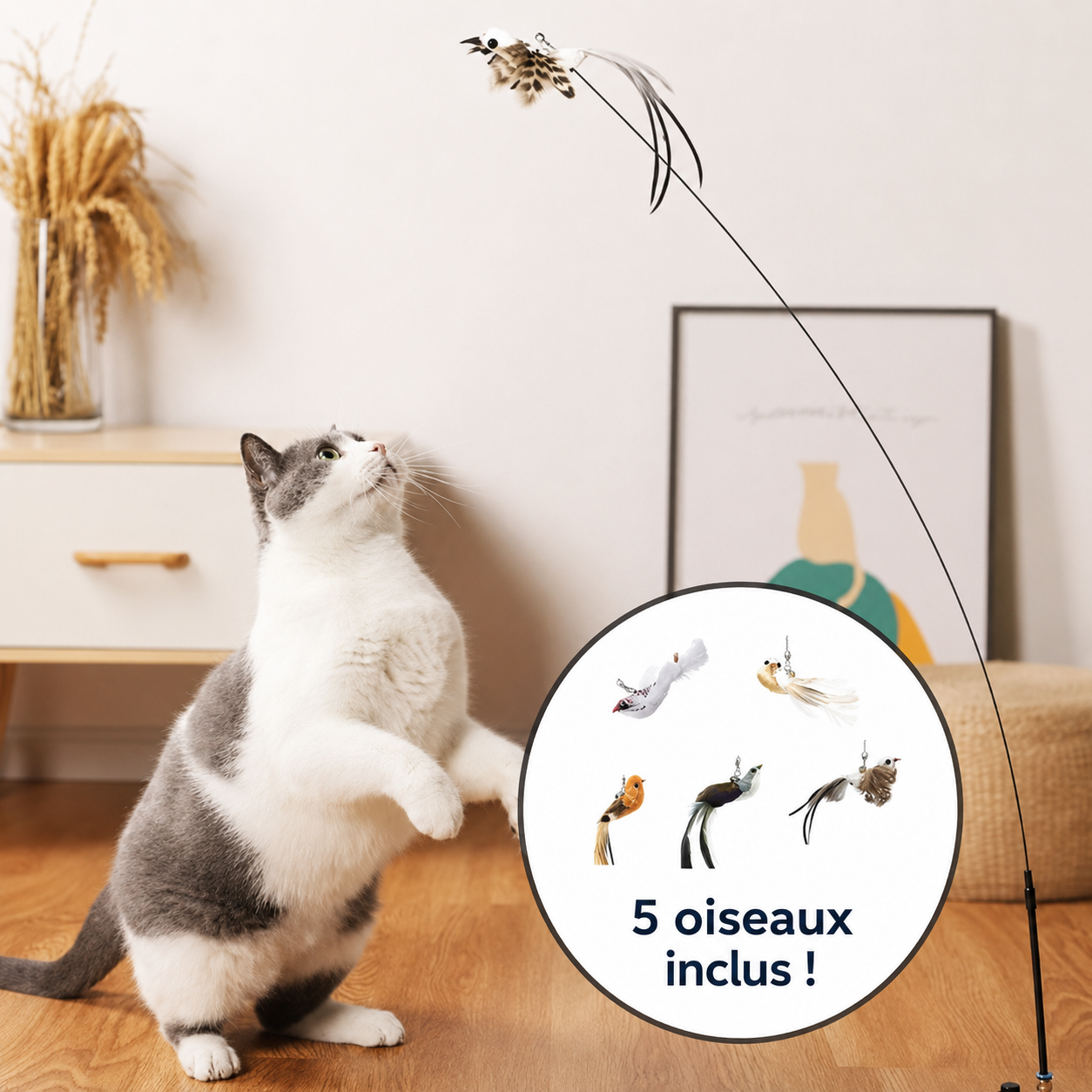 Felineau Set de Jouets Oiseaux Interactifs pour Chat — Base Ventouse