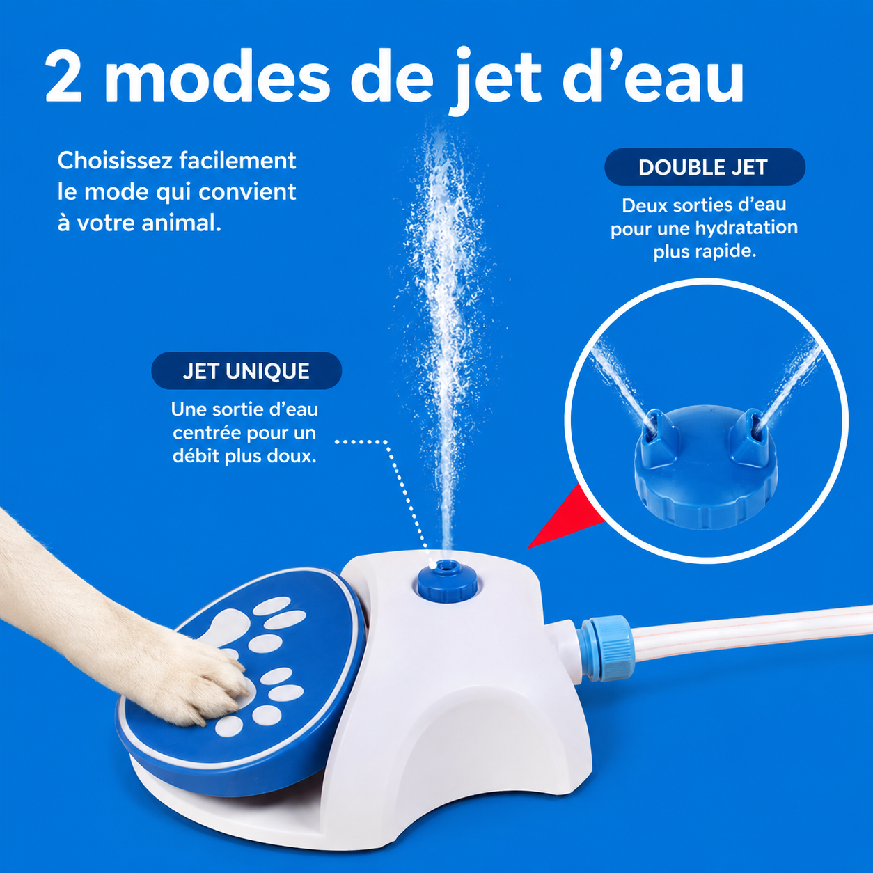 Felineau Fontaine à Eau Activée par la Patte pour Chien - Jeu d'Été