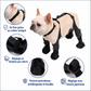 Bottes Imperméables Réglables pour Chien – Chaussures Antidérapantes Protection des Pattes Toutes Saisons