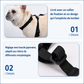 Bottes Imperméables Réglables pour Chien – Chaussures Antidérapantes Protection des Pattes Toutes Saisons