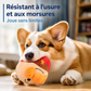 Balle Interactive pour Chien avec Son et Musique – Jouet Électronique Rechargeable USB Anti-Ennui