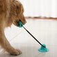 Jouet de traction pour chien avec ventouse