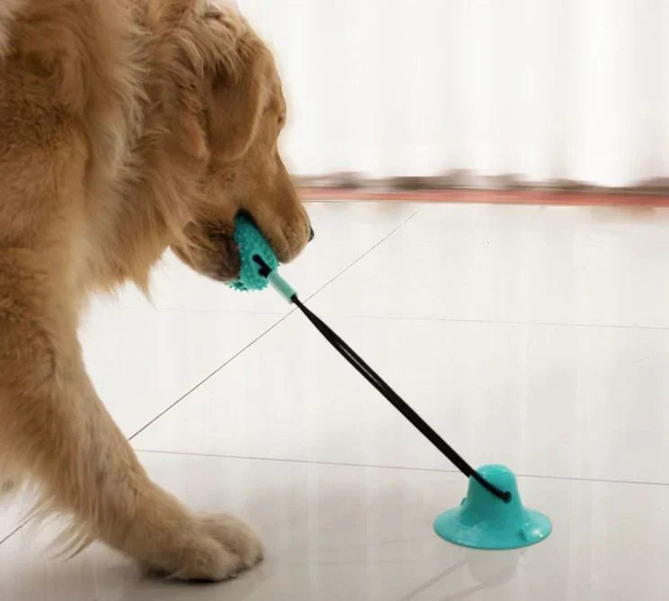 Jouet de traction pour chien avec ventouse