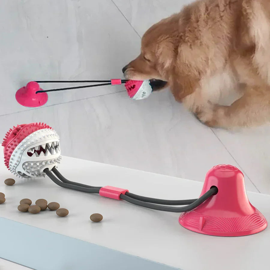 Jouet de traction pour chien avec ventouse