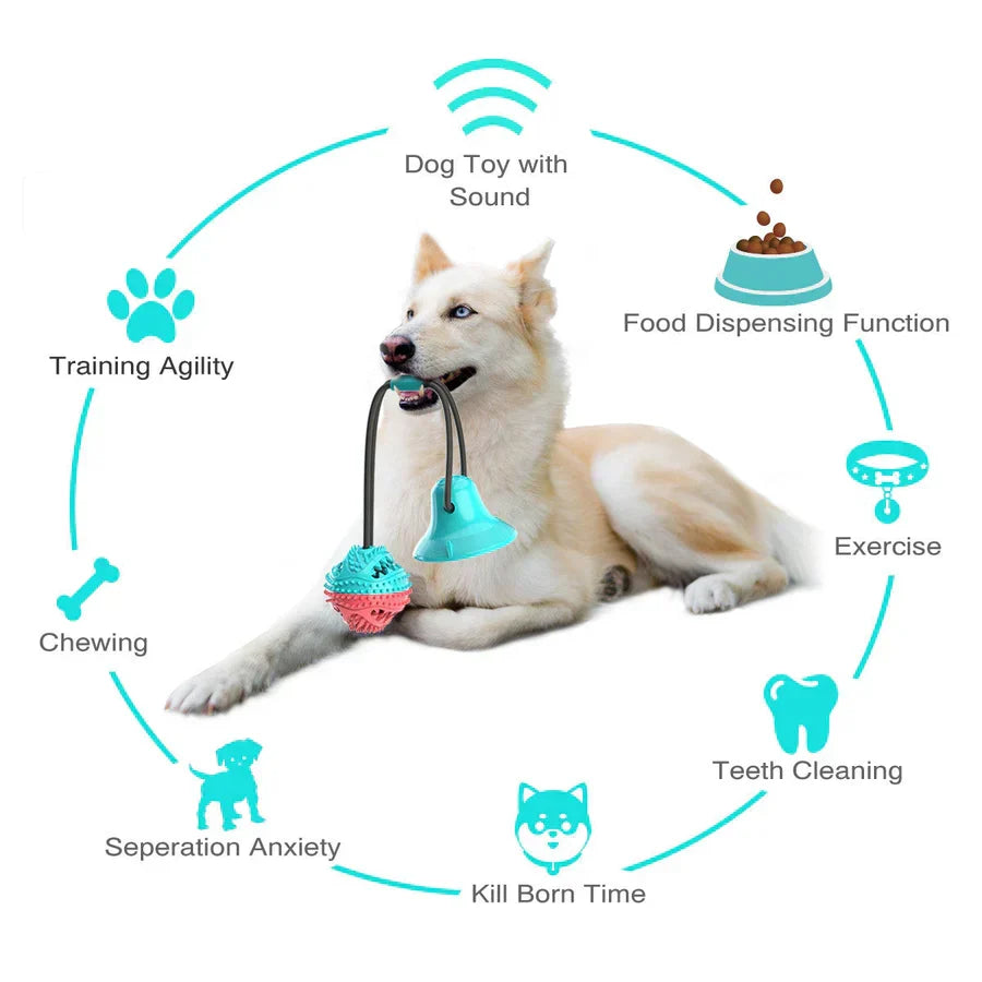 Jouet de traction pour chien avec ventouse